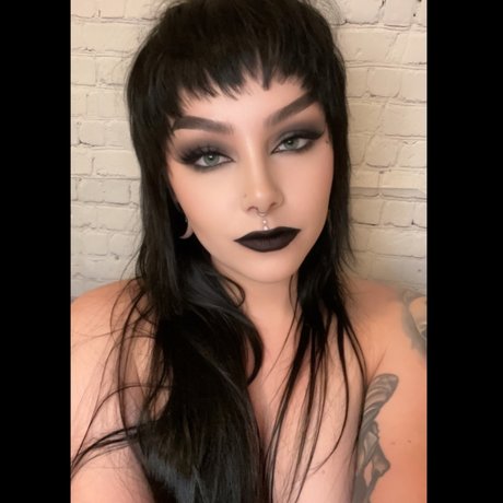 Porcelain star beautiful photos