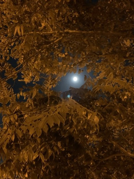 Poetic Artist high quality actress pic