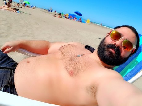 Pocket Bear erotic star gallery