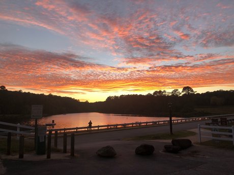 sneaky link_ nude actress photo