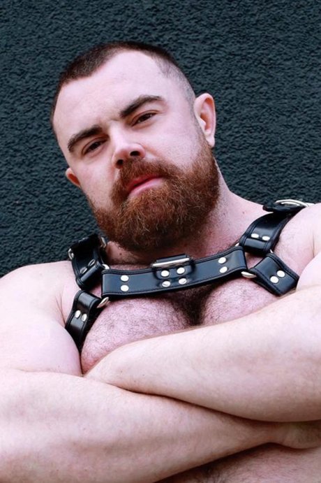 PJ KNOX VIP hot actress picture