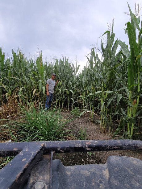 Jerry D Jervah Jr model perfect images