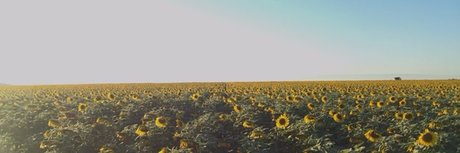 whosthere star beautiful picture