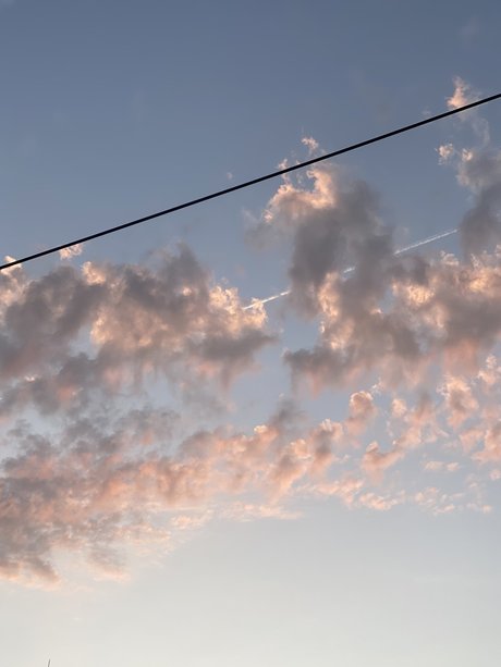 Pinta Exceptionnelle model xxx images