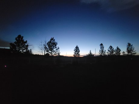 Pinks Place porn star gallery