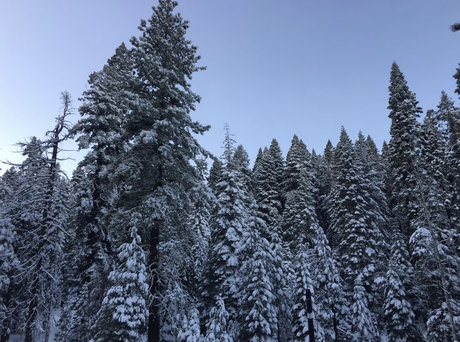 PigbottomIbanez star nudes pics