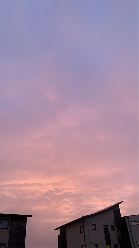 ali_ pornographic model pics