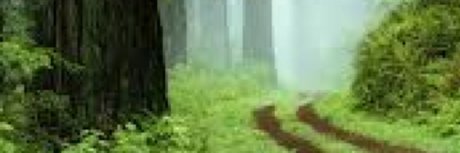 u35508985 naked actress photo