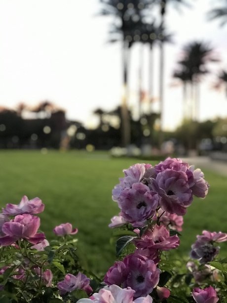 Philena Carter best pornstar archive