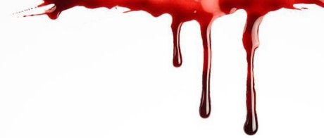 Rachel Reality_ star best archive