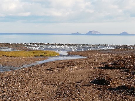 Racesex hot pornstar image