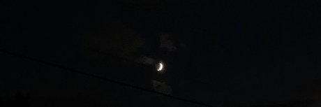 _d g_ model perfect pics