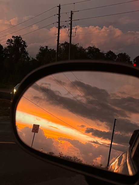 gerbil pornstar erotic archive