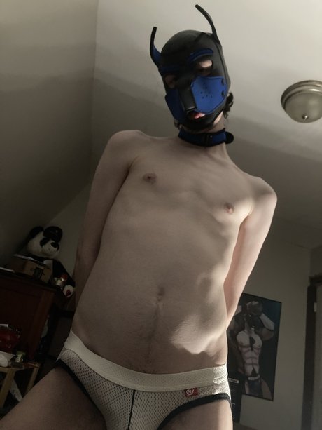 Archie the Pup top actress image