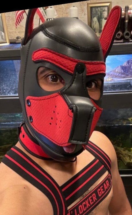 Pupper Atticus pornstar pretty pic