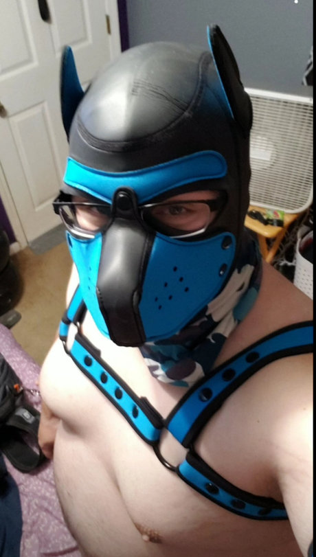 Pup Havoc free pornstar pic