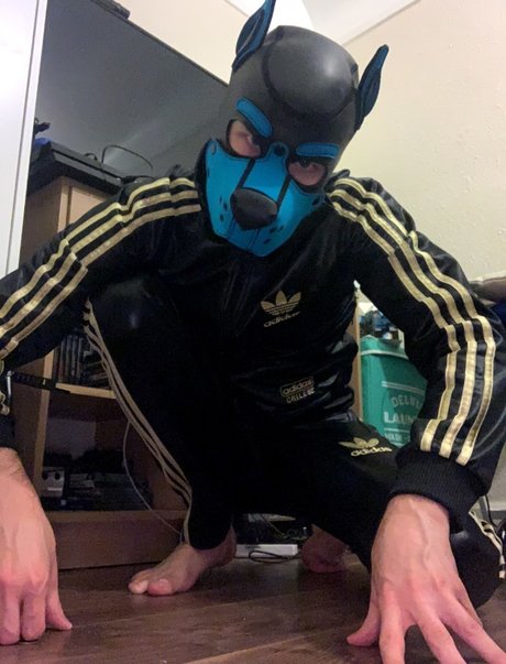 Pup Valto model exclusive photos