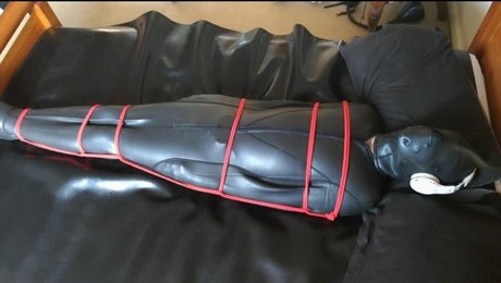 Pup Valto model high quality images