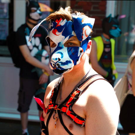 Quentin the pup sex actress photo