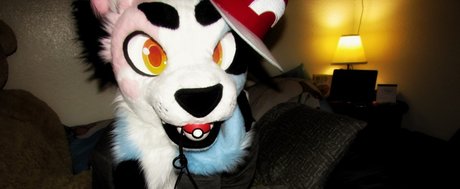 PucksTailor best star pics