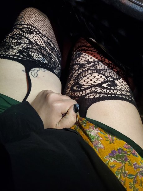 Prunkle beautiful pornstar galleries