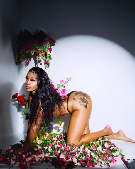 Princesss pornstar xxx archive