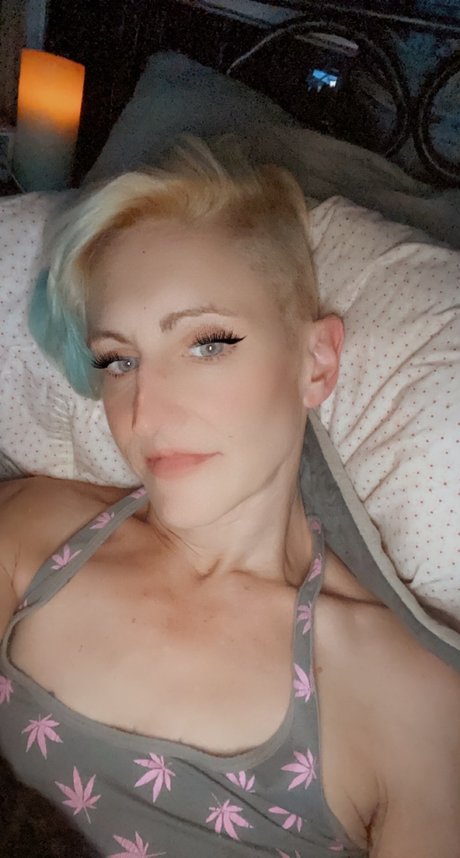 Princess Leia star art gallery