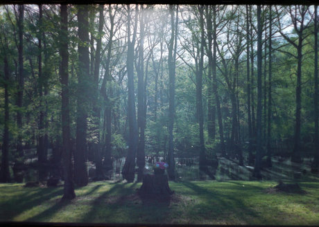 Riley Chase model high quality image