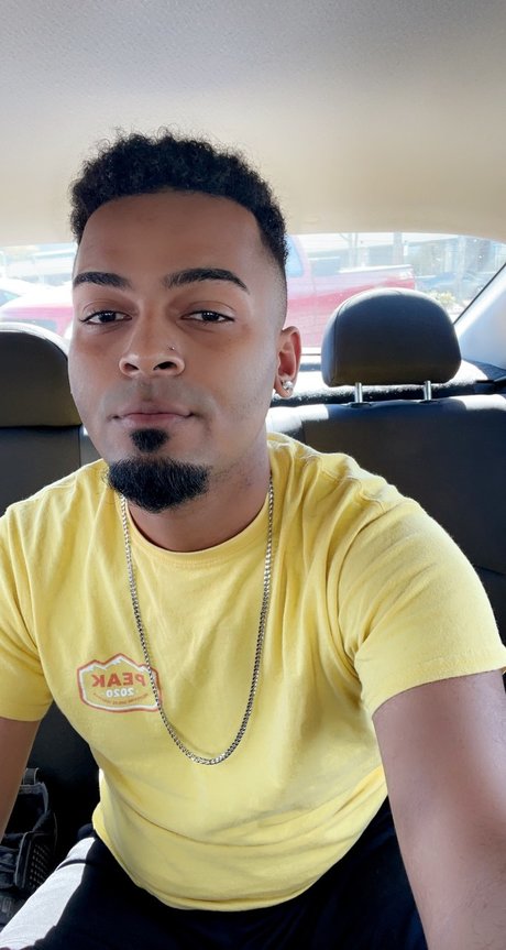 Rico Dripp pornstar xxx archive