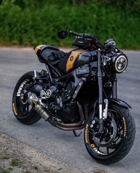 Rico1975 best pornstar archive