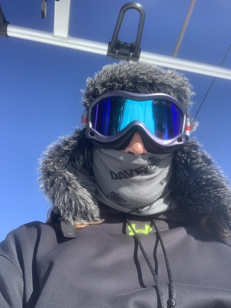 Elonbust star beautiful img