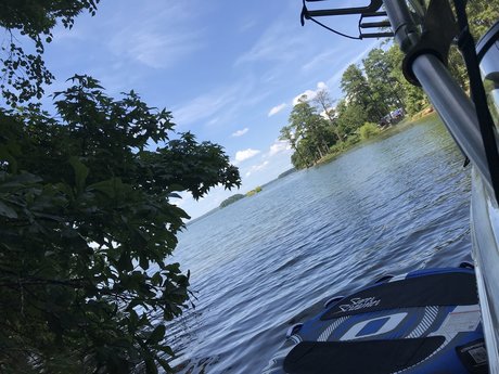 Rhett Shumpert pornstar art photos