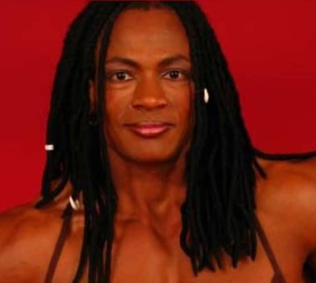 RENNE TONEY nice star galleries