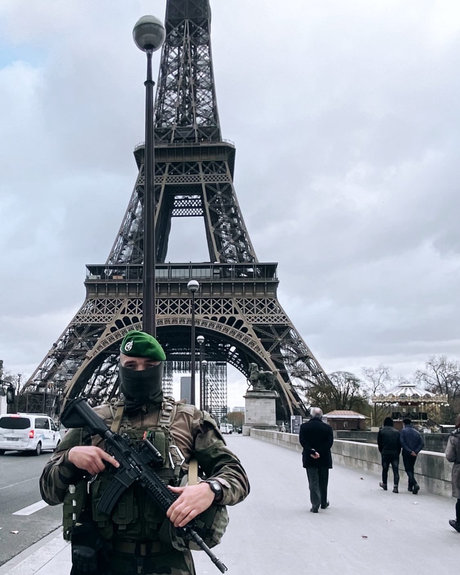 Renard Dior nice model img