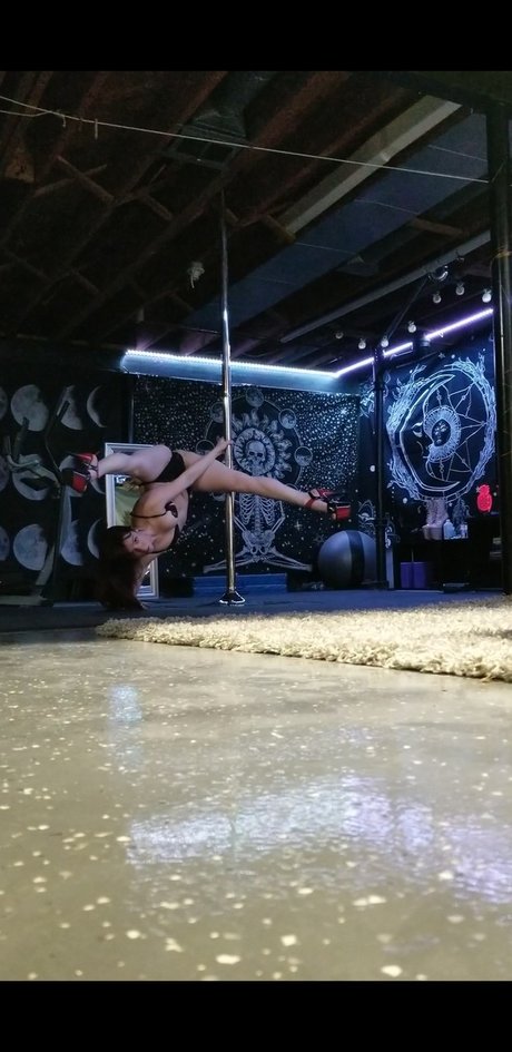 Pineapple Pole art pornstar img