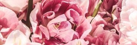 redhoneybaby pornstar nudes pictures