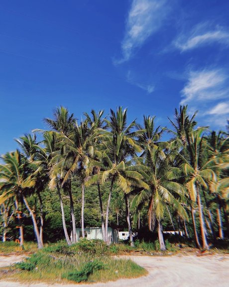 Tila Maria nice actress image