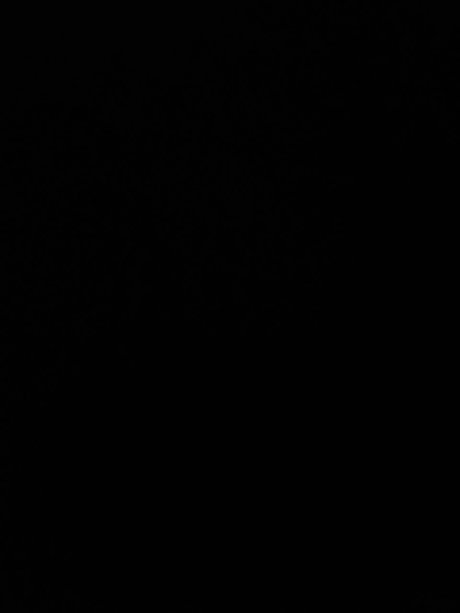 Ray Rocci model beautiful img