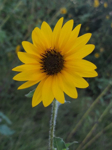 Mari1007 pretty pornstar archive