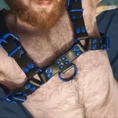 Maniacalmike pornstar best image