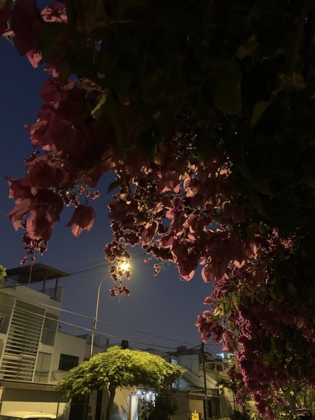 Amm hot actress photos