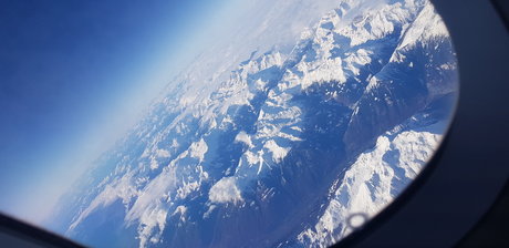 Arianefox 1_ model high quality images