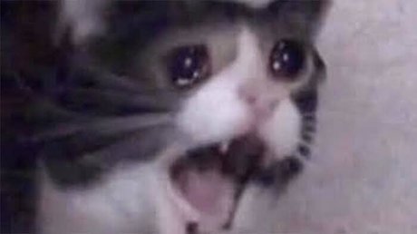 Rookao pornstar nice photos