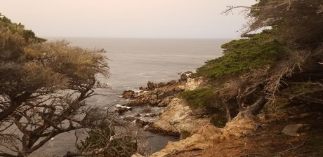 Ryan amp ampRuth s Married Life_ art model image