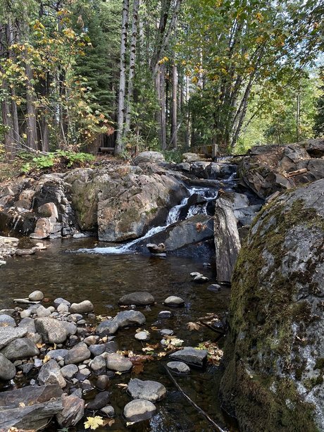 El Rio_ erotic pornstar pics