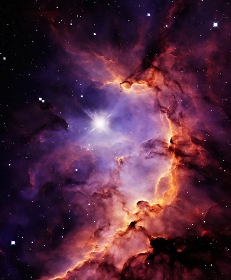 barbaratrevi star top pics