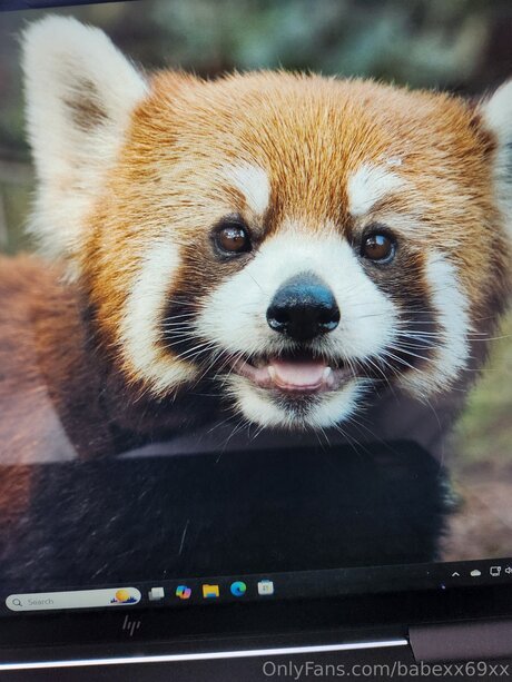 BabeXX69XX erotic star image