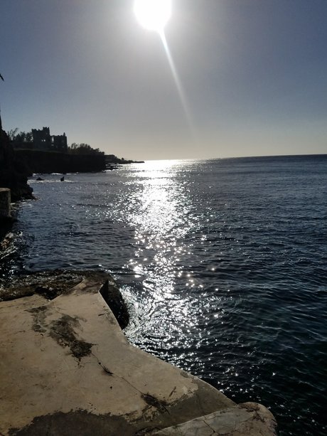 Korey NO PPV star high quality img