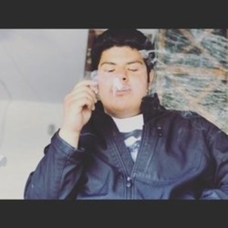 projekt bhris erotic star pic