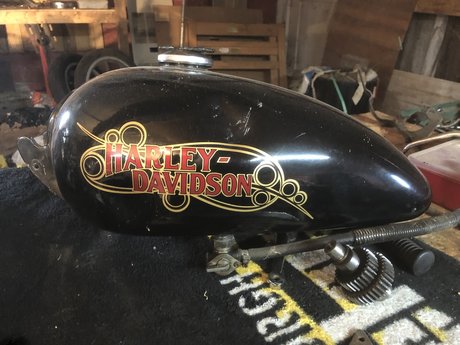 Bamm bamm model porn picture